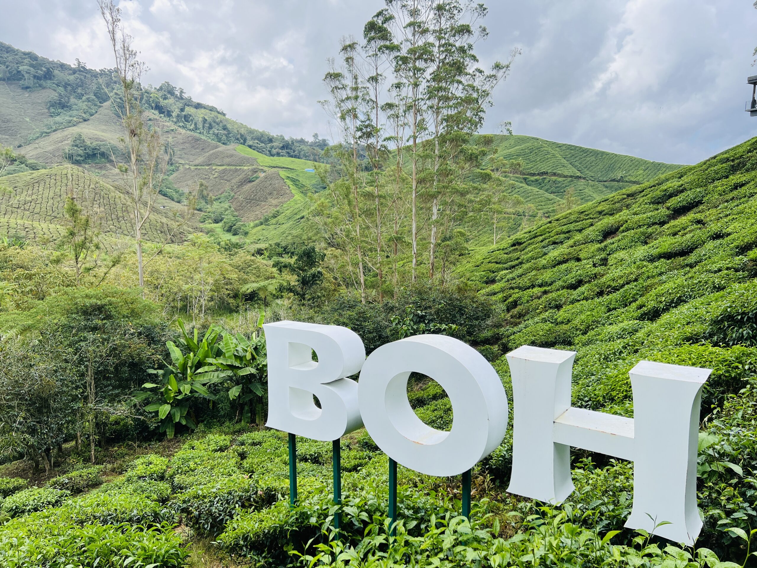 Cameron Highlands 2 Days Itinerary 金马伦高原2天行程攻略 3