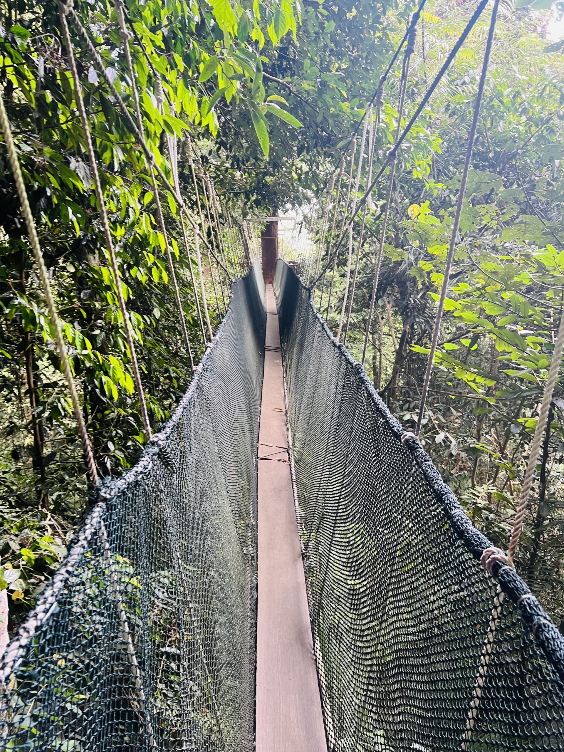 Kota Kinabalu Day Tour 亚庇一日游 5